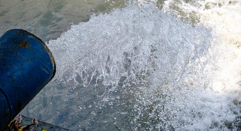 Treatment Asia Drain water top Dinoworks n*m様 Treatment Asia